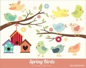 buy 2 get 1 free Spring Birds Clipart for personal and commercial use ( Cute birds clip art ) INSTANT DOWNLOAD