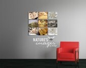 Cherry Blossom Series - Cherry Blossom Prints - home decor - dreamy prints - 9 - 12X18, Photography Wall Art, Gifts for Her
