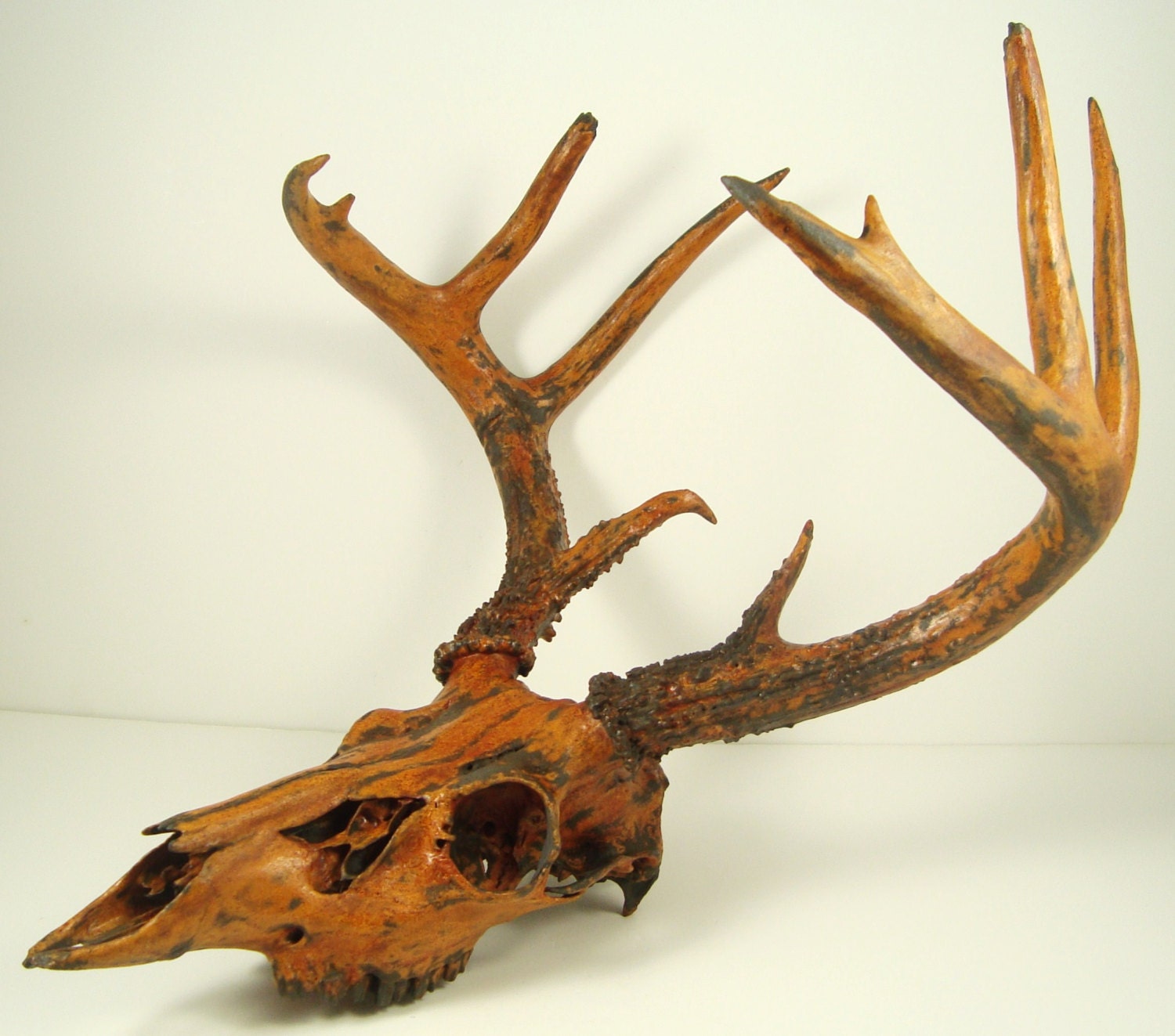 Deer Skull Taxidermy Painted Antlers - Black Iron, Rust Natural Patina Art Sculpture