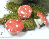 Red and White Mushroom