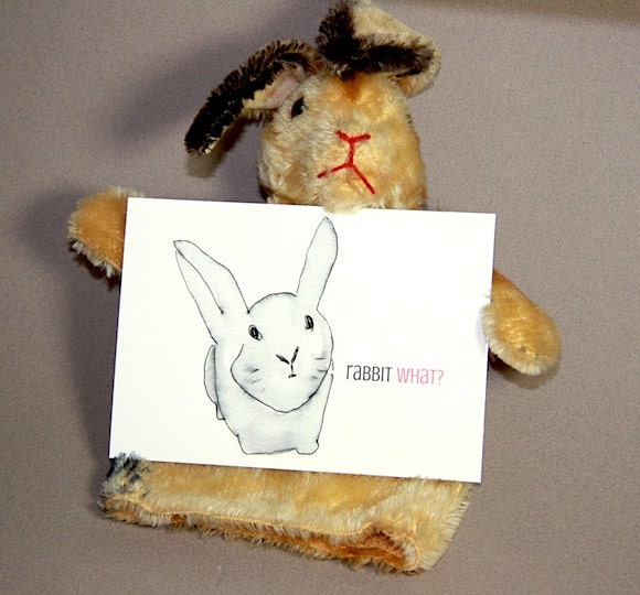 Set of 4 "Rabbit What" Postcards - stamped - so cute