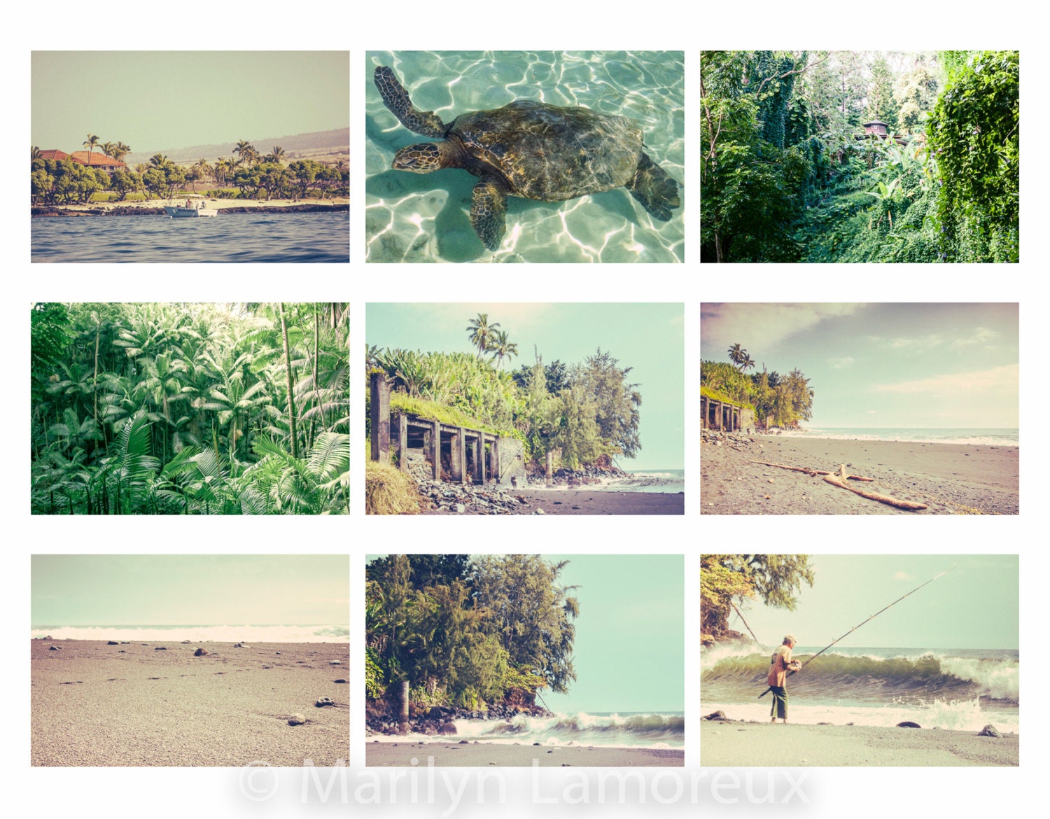 Sun-washed Hawaii Collection - Set of nine 5x7 photos - Travel Photography - turquoise green sand beach turtle palm trees