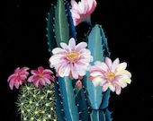 Glicee print- Cactus and  flower illustration - artandpeople