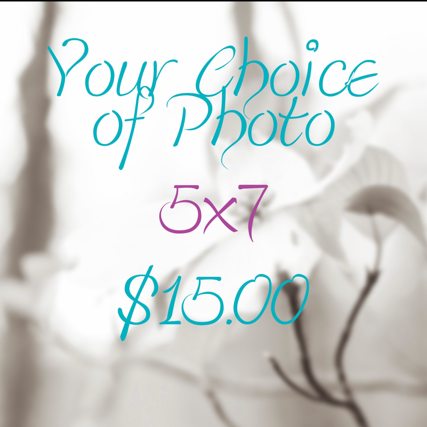 Your Choice of Photo in 5x7