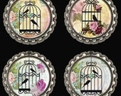 Fridge Magnets Birdcage Scrapbooking Office Locker Set of 4
