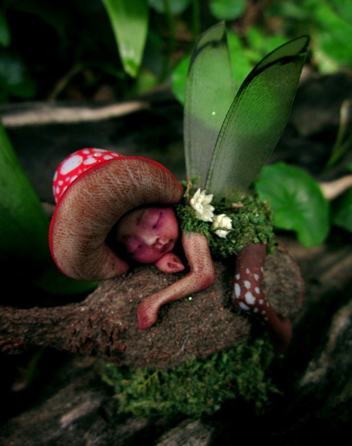 Tiny Sleeping Gumnut Woodland Mushroom Fairy by Celia Anne Harris OOAK - Made to Order