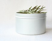 Skin Soothing Salve - Organic - Herbal Healing - 8 oz.