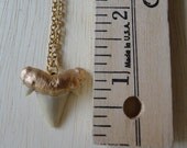 Gold Leaf Shark Tooth Necklace with Chain