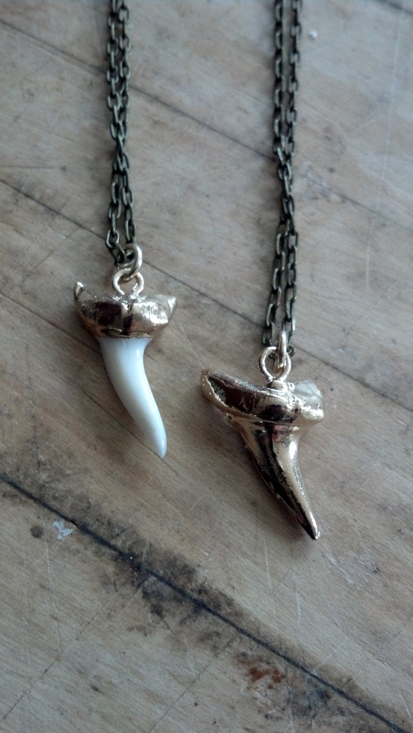 24k Gold Plated Shark Tooth Necklace
