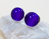 Post Stud Earrings - Round Cobalt Blue Cat's Eye Glass Cabochon - Silver Plated Brass Bezel