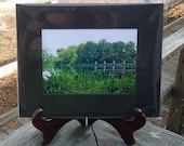 Silence, Landscape Photo, Green Foliage, Pond Photo