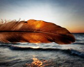 Feather Sunset 8x12 Fine Art Photograph Home Decor Wall Art Waves Water Sun
