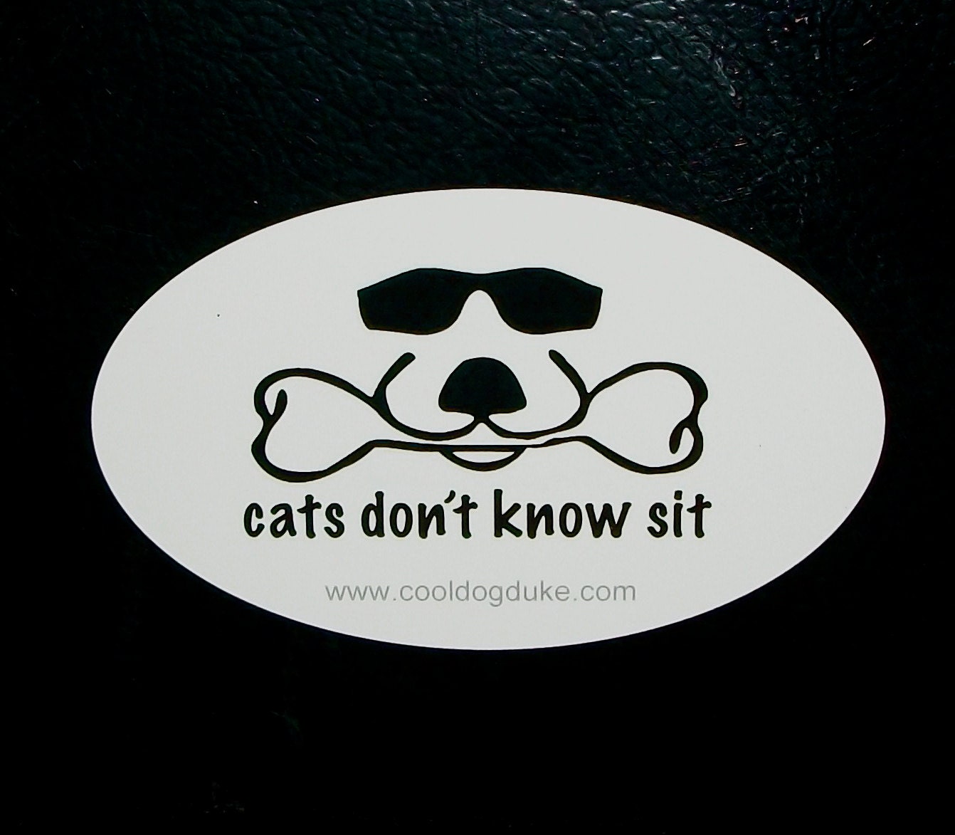Cats Don't Know Sit Oval Vinyl Bumper Sticker Euro Decal Cool Dog Duke Pet Lover Gift Black on White free shipping