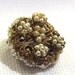 Antique Pearl Brooch,  Victorian, Faux Seed Pearls, Wedding Jewelry