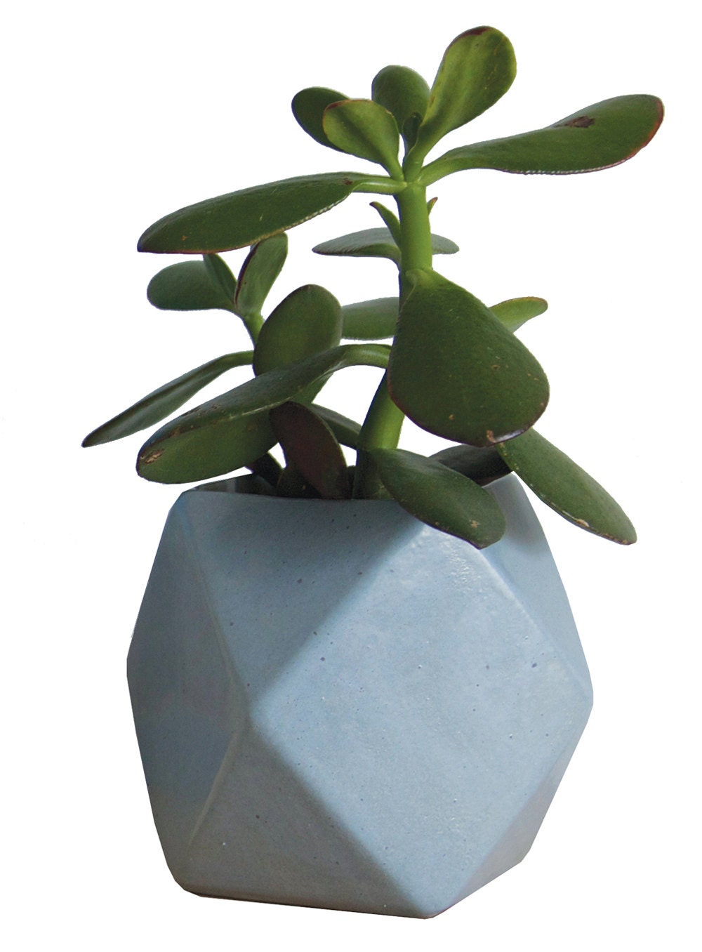 CERAMIC PLANTER Gem Vessel Speckled bluey grey
