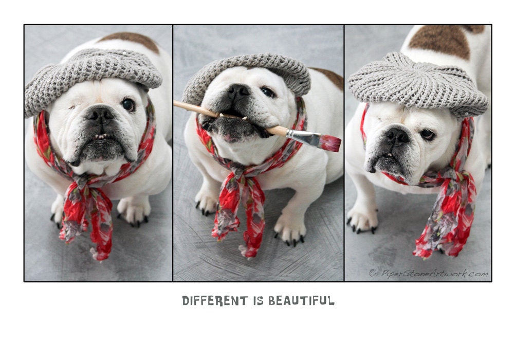 Different Is Beautiful English Bulldog Photo - Special Needs Dog Piper Stone The Painting Bulldog in a scarf and hat - 8x12
