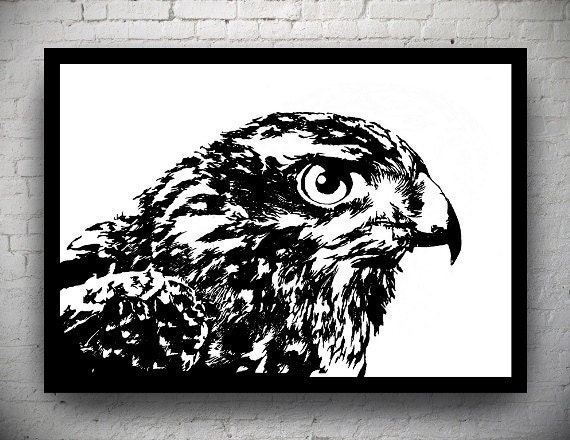 FRAMED Hawk Handmade Original Papercut: Hand-Cut Paper Art Silhouette - 20.87 x 13.78 inches (53 x 35 cm)
