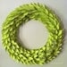chartreuse modern wreath - lime painted newspaper - large 22 inch newspaper rosette and leaf