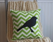 green bird pillow cover, applique on green chevron fabric, 16X16