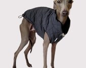 Triple layer lightweight winter coat for Italian Greyhounds
