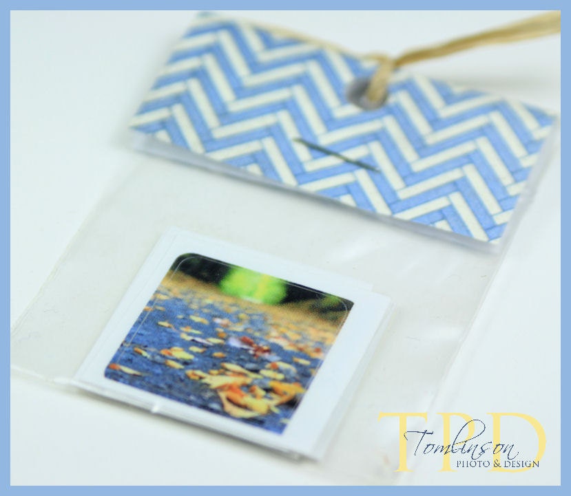 Photography Envelope Seals for Your Stationery, Autumn Leaves on the Ground, Macro Photography,