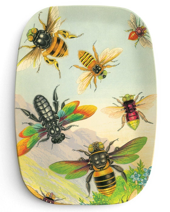 Bees - antique artwork of insects on 10 x 14 Melamine Platter