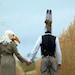 Hand felted seagull animal mask / head dress suitable for performance, dance or theatre