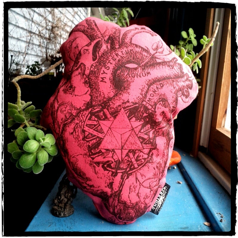 Sacred Heart Pillow - Anatomical Heart Dream Pillow- Original Art Silkscreen with Organic Herbs in Rose, Pink or Red- LOVE DREAMS WISDOM
