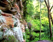 8x10 Appalachian Original Photograph Vibrant Colors Cliffs Forest Scene Nature Trees 42 Mountain Picture Artwork Photography