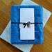 Catnip toy cat bird toy  - blue bird cat toy - catnip blue bird
