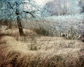 LIMITED EDITION Fine art photography print, digital photo, 10X12 inch landscape shabby  home decor, gold silver, sepia, bright,  romantic