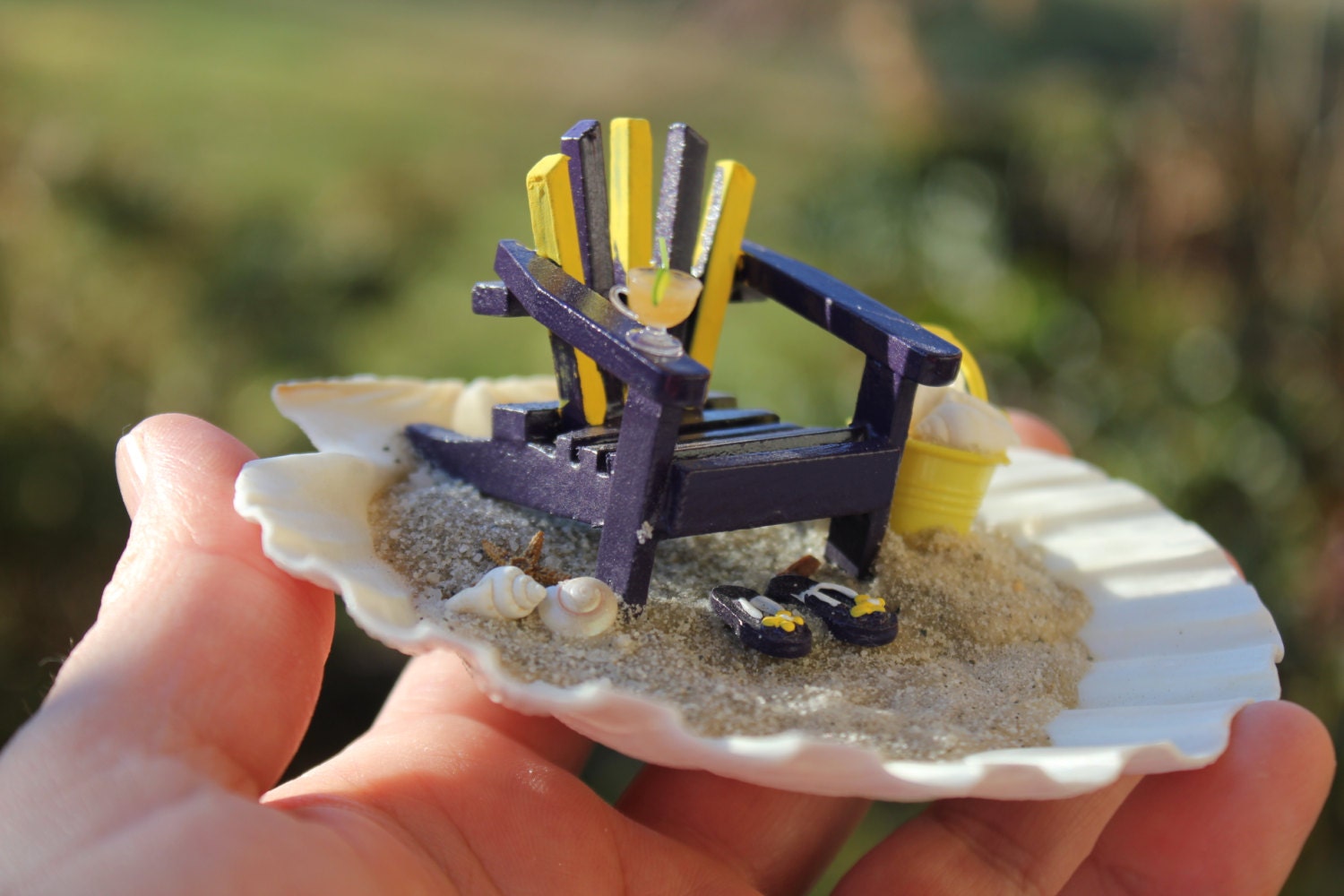 Desktop Miniature Beach Vacation in a  Sea Shell - James Madison University JMU Colors - by Landscapes In  Miniature