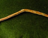 Magick Wand, handmade Australian Dogwood (Jacksonia scoparia), Natural Citrine and Quartz Wand with tiny Lichen friend