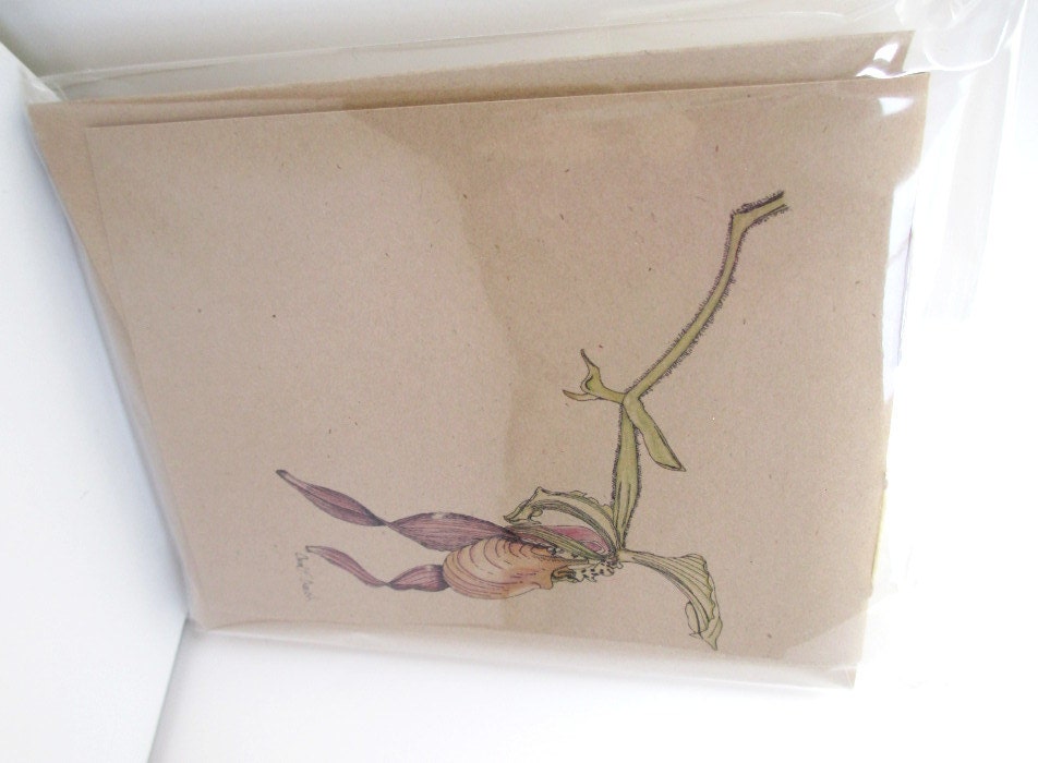 Lady Slipper Orchid Jotter Journals - (set of 3 mini journals)