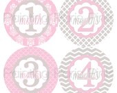 Monthly Onesie Stickers - Soft Pink & Gray - 1st Year - Bonus Just Born Set included