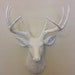 Faux Deer Head. Hunting Trophy with Antlers. Taxidermy Whitetail Stag that is Found and Souled