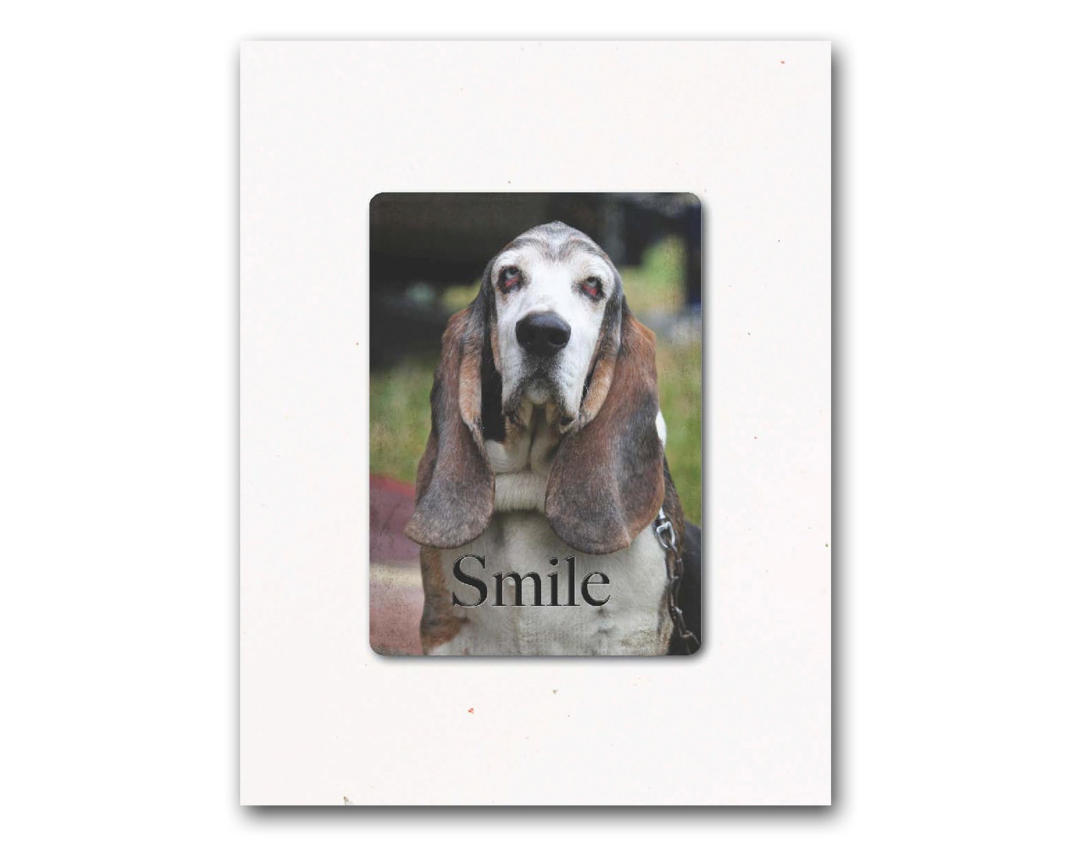 Buy gift cards exchange - GIFT BOXED CARDS Birthday Gift, Hostess Gift, Shower Gift, Gift Exchange