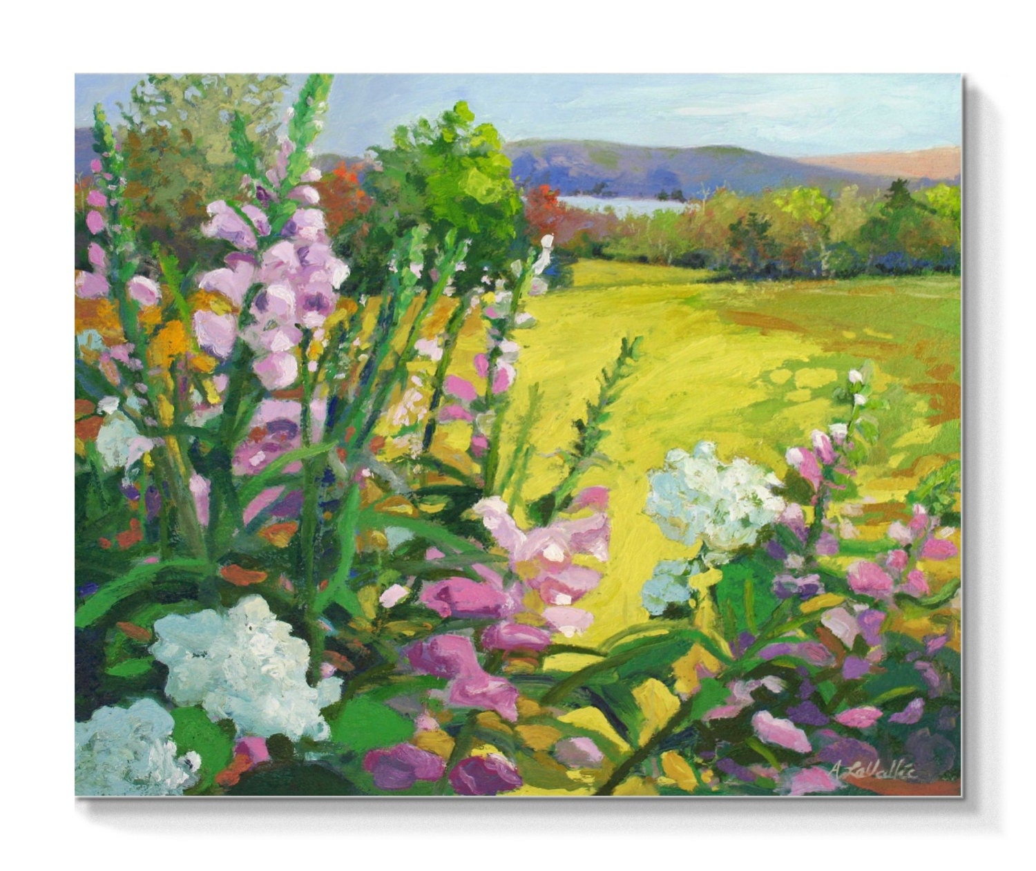 Pink and White Flowers and mountain vista landscape . oil painting . ORIGINAL ART ,  20 " X 24 " , garden , lake and mountain vistas.