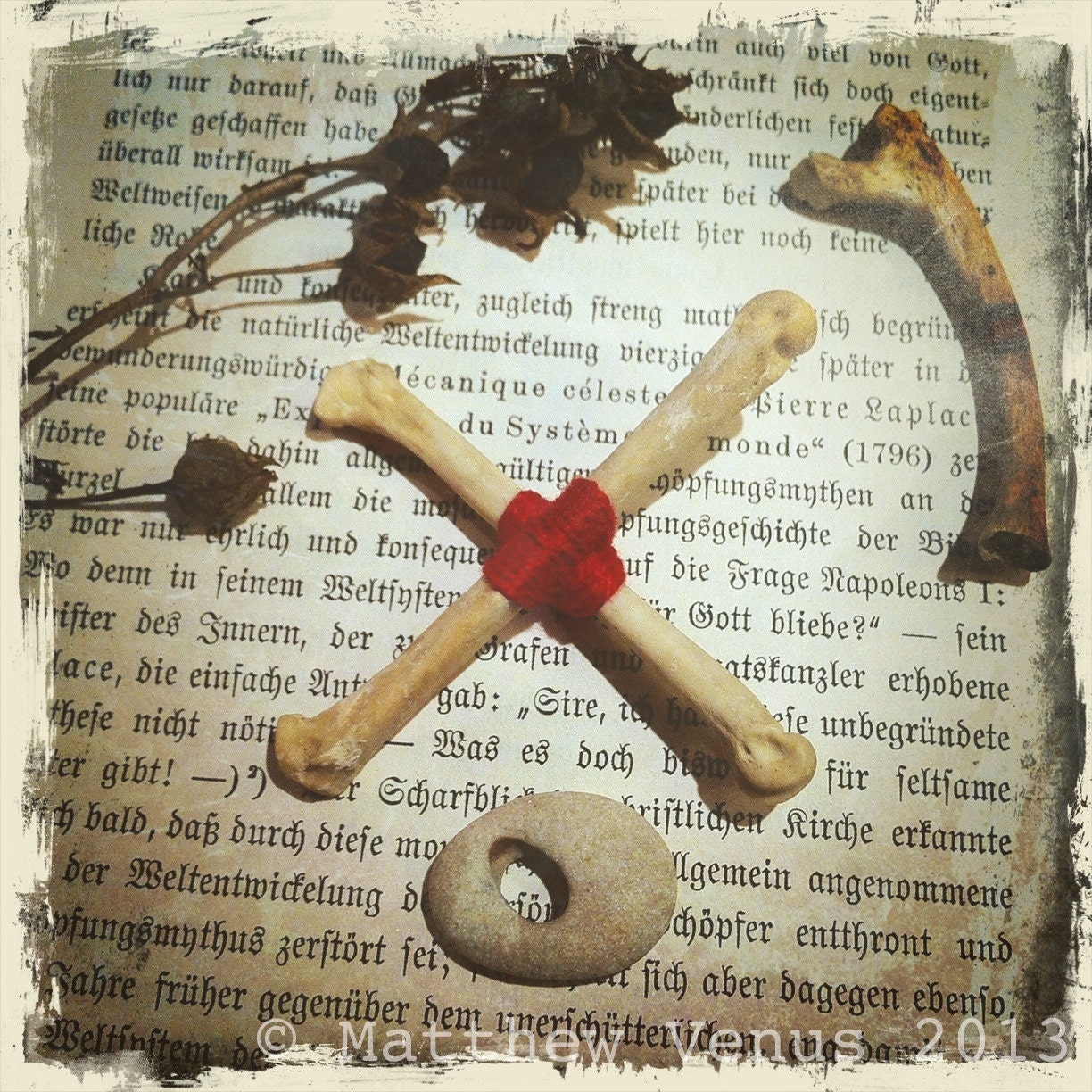 The Cunning Cross