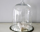 Large Glass Cloche Bell Jar with Mirrored Base