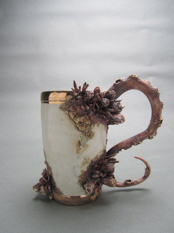 Bottom Feeder Cup One