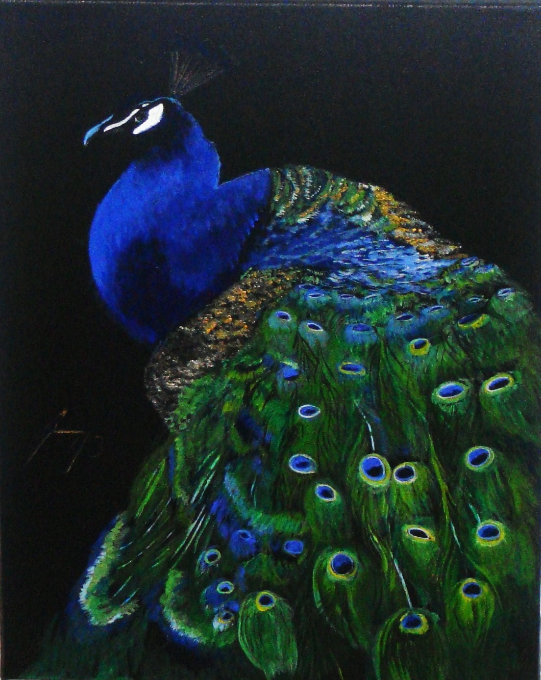 Colorful Peacock on Black Background Original Painting on Gallery Wrap