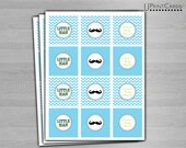 DIY PRINTABLE Little Man Chevron Mustache  2.5" Party Squares- Cupcake Toppers - Baby Boy Shower or Birthday -Digital .pdf file
