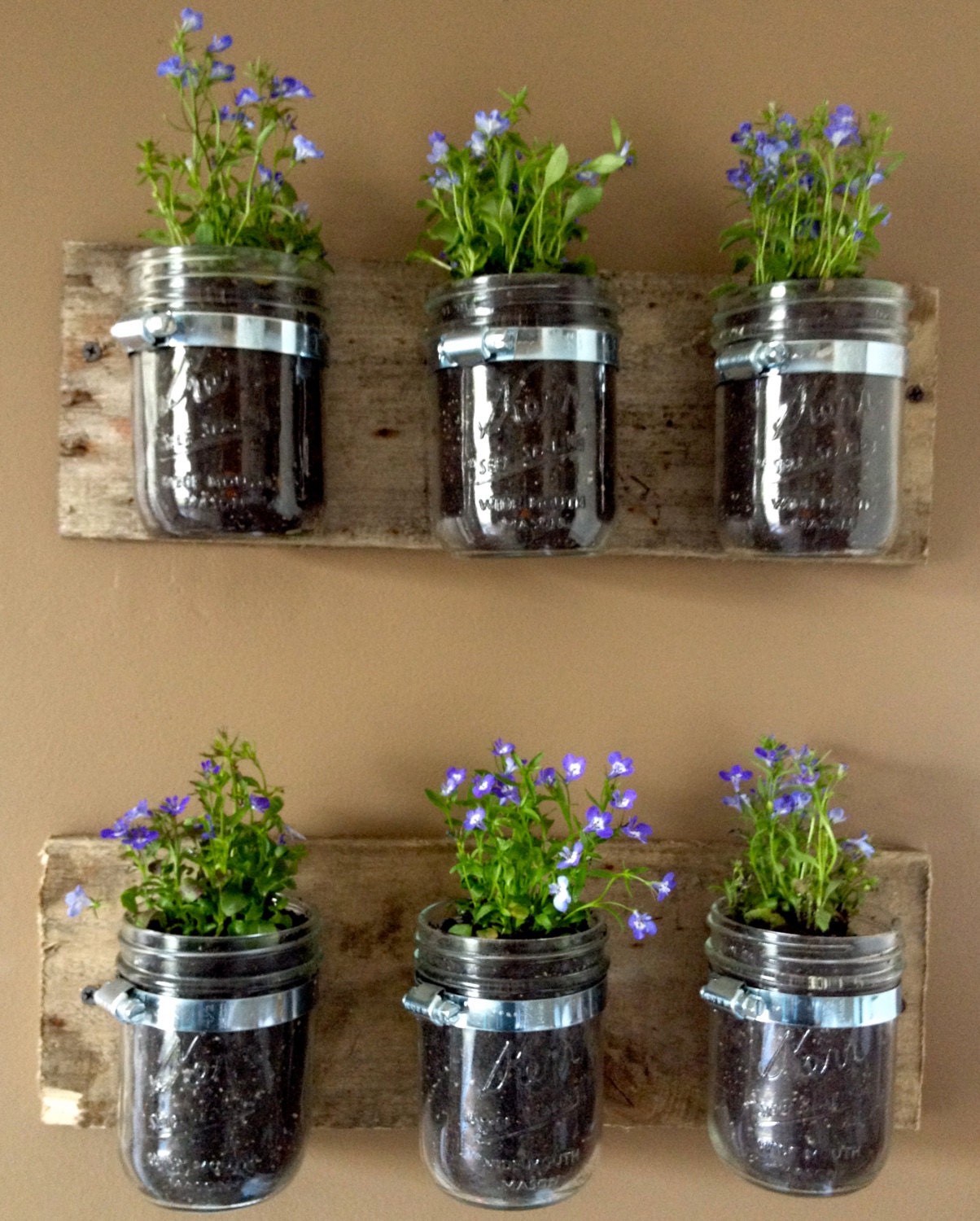 PAINTED Mason Jar Hanging Wall Planter