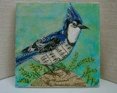 Blue Jay Original Collage-Bird art mixed media-Bobby Blue Jay