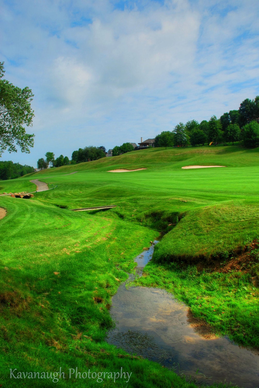 Golf Course Photograph