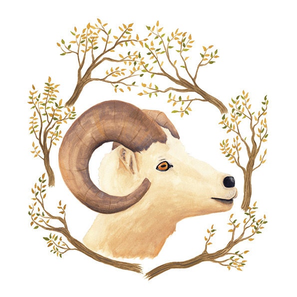 Goat Illustration - Archival Print