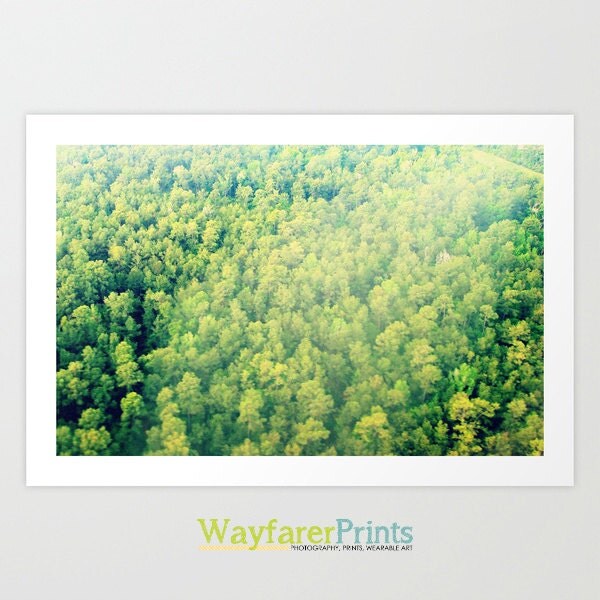 Tree Landscape Photography  - Texas sky view from above bright green foliage nature beautiful design 5x5 5x7 8x10 10x10