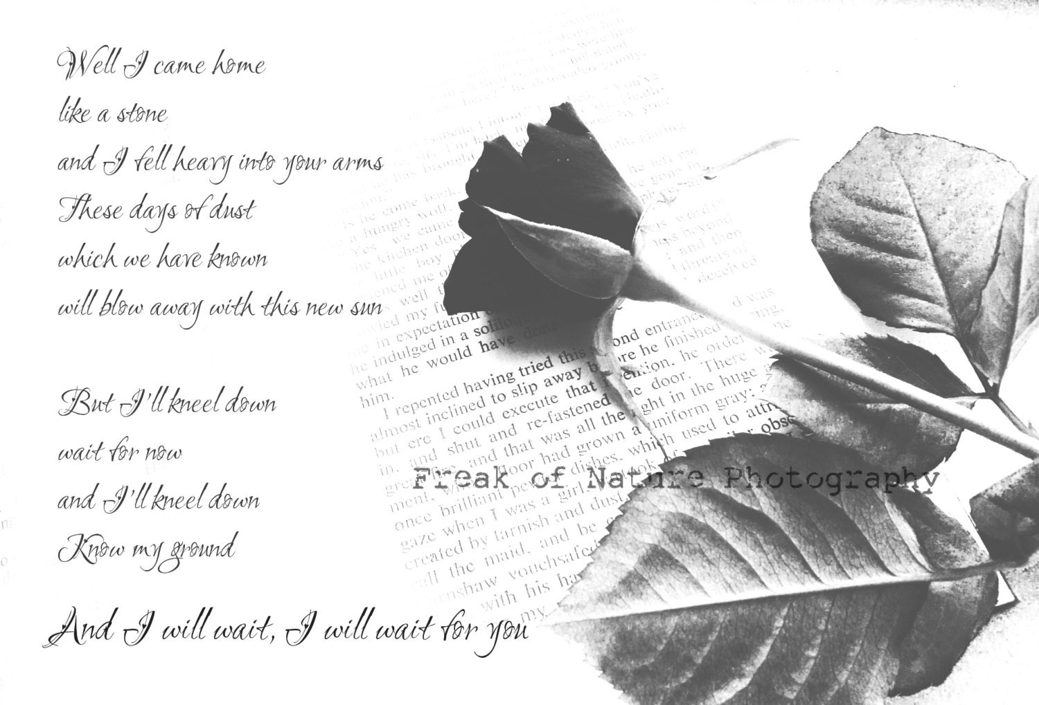 Fine Art Photography Monochrome Mumford and Sons Black & White I Will Wait Lyric Print 11x17" Printed to Order