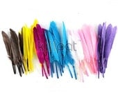50 Duck Feathers, Wholesale Loose Feathers, Craft Feathers For jewelry, costumes, crafting projects, Feather Pen and other special occasions